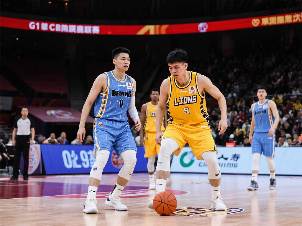 搭档的球员 搭档的球员