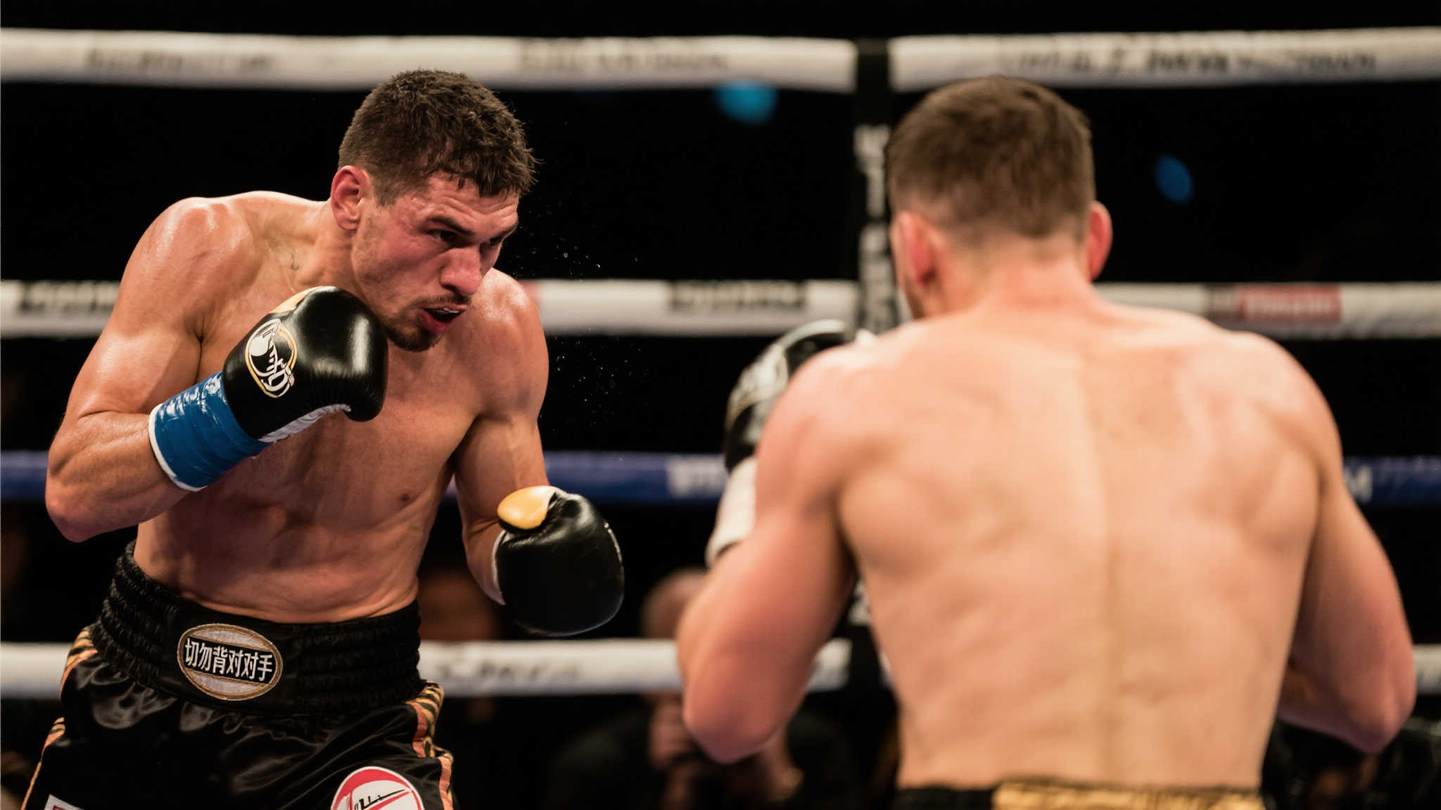 业生涯的巅 业生涯的巅